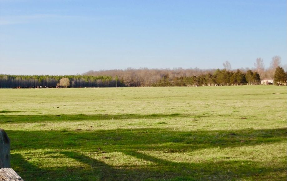 Image for 69.5 +/- Acres of Beautiful Land w/Barn, Fencing, Pond & Creek in Culpeper County, VA