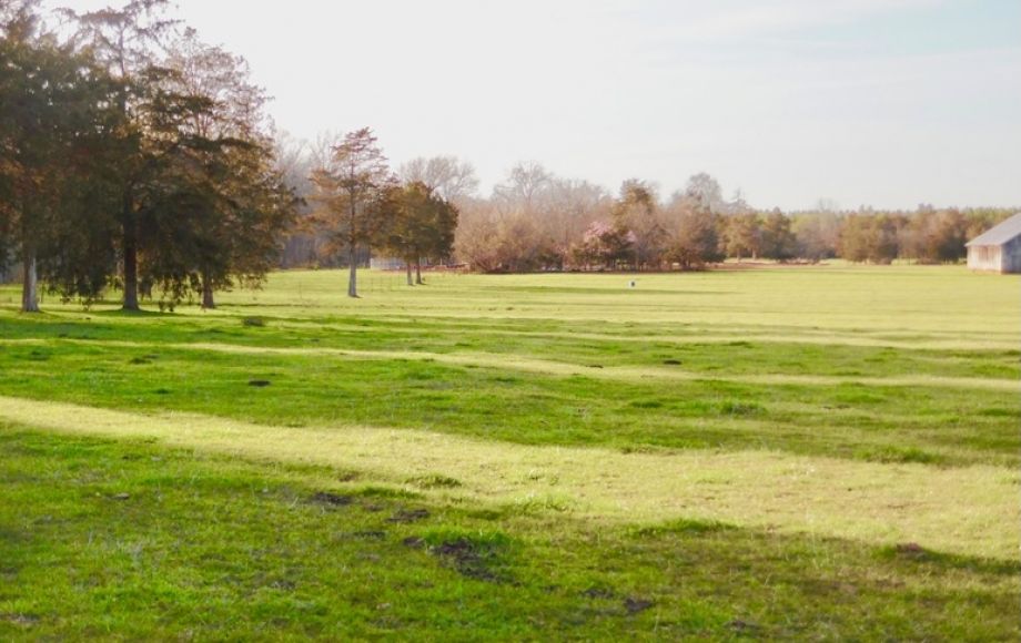 Image for 69.5 +/- Acres of Beautiful Land w/Barn, Fencing, Pond & Creek in Culpeper County, VA