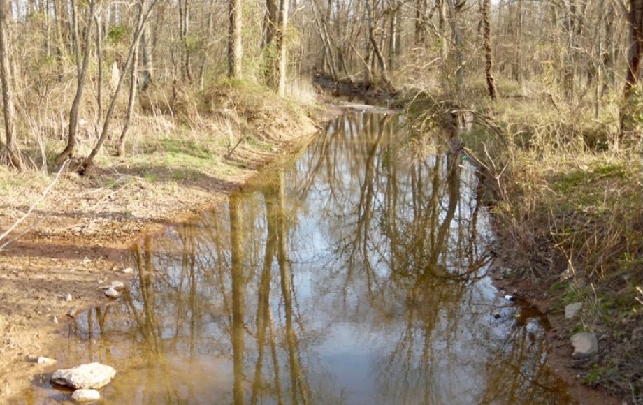 Image for 69.5 +/- Acres of Beautiful Land w/Barn, Fencing, Pond & Creek in Culpeper County, VA