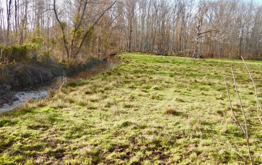 Image for 69.5 +/- Acres of Beautiful Land w/Barn, Fencing, Pond & Creek in Culpeper County, VA