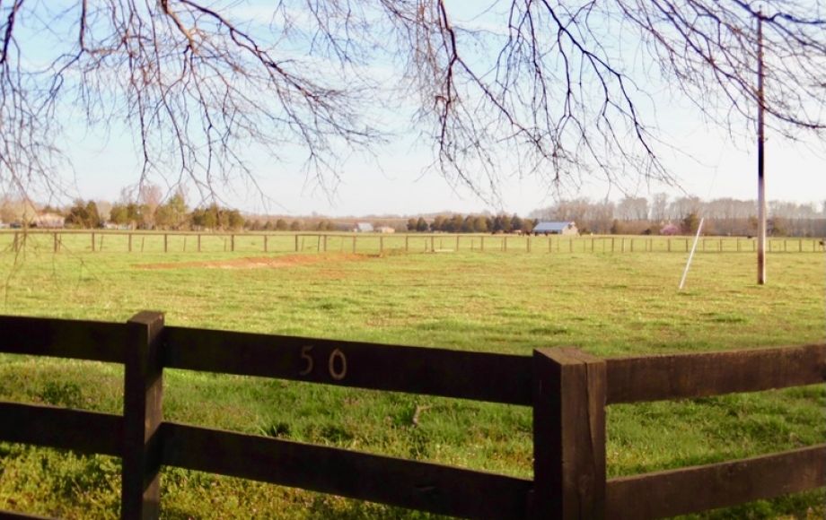 Image for 69.5 +/- Acres of Beautiful Land w/Barn, Fencing, Pond & Creek in Culpeper County, VA