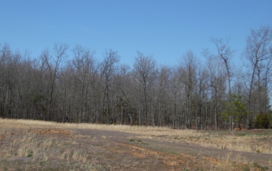Image for 1.28 +/- Acres of Commercial Property in Culpeper County, VA—Selling to the Highest Bidder!!