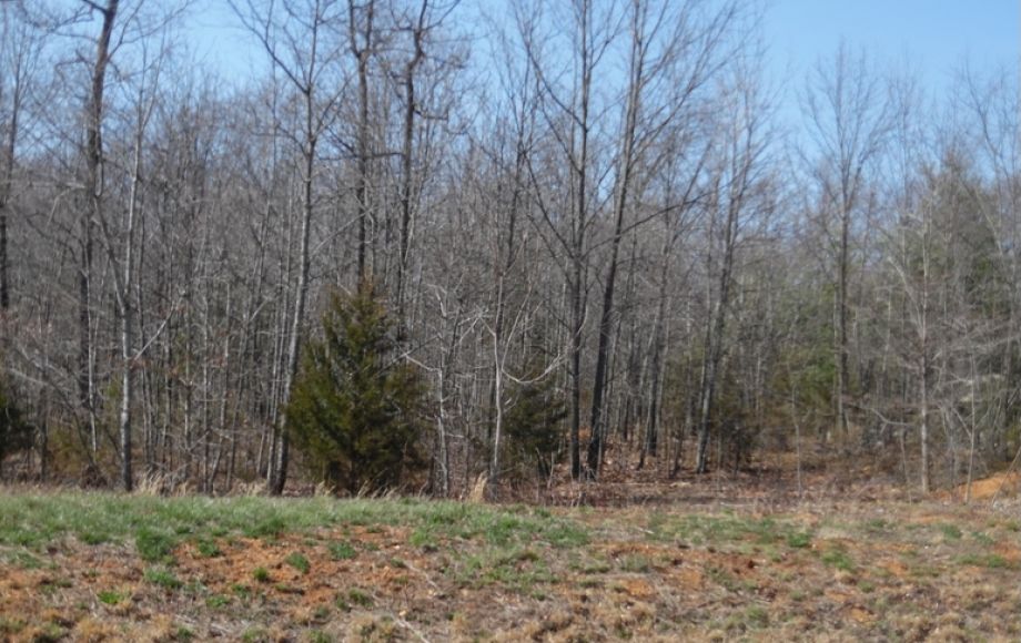 Image for 1.28 +/- Acres of Commercial Property in Culpeper County, VA—Selling to the Highest Bidder!!