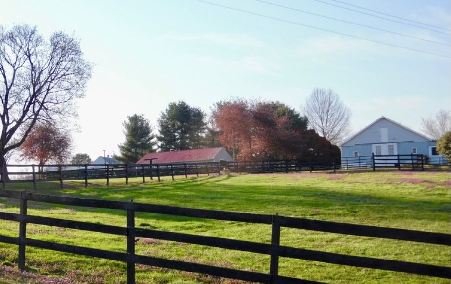 Image for 3 BR/3 BA Home on 6.3 +/- Acres w/12 Stall Barn, Riding Rink & Workshop in Madison County, VA
