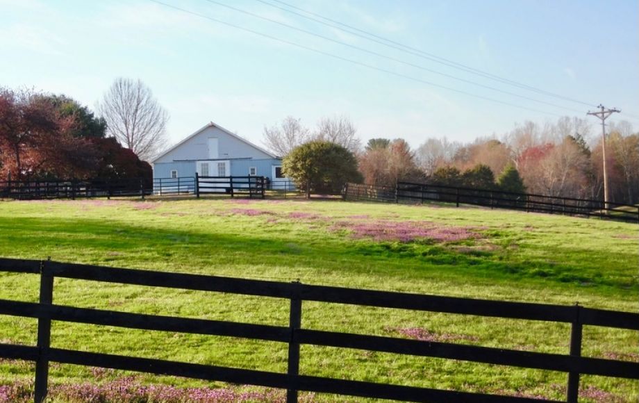 Image for 3 BR/3 BA Home on 6.3 +/- Acres w/12 Stall Barn, Riding Rink & Workshop in Madison County, VA