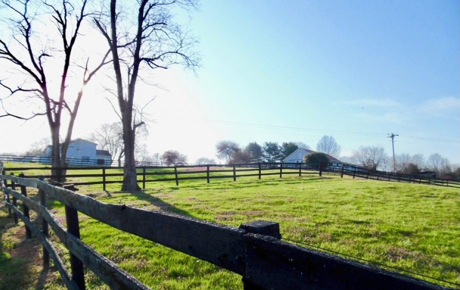 Image for 3 BR/3 BA Home on 6.3 +/- Acres w/12 Stall Barn, Riding Rink & Workshop in Madison County, VA
