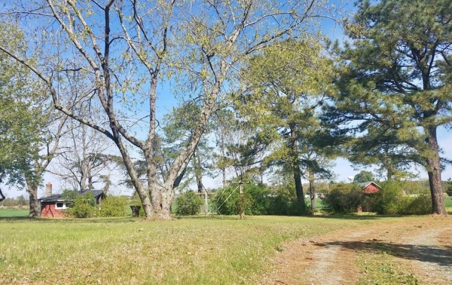 Image for 4 BR/2 BA Brick Cape Cod Style Home on 2.8 +/- Acres in Warsaw, VA (Richmond County)