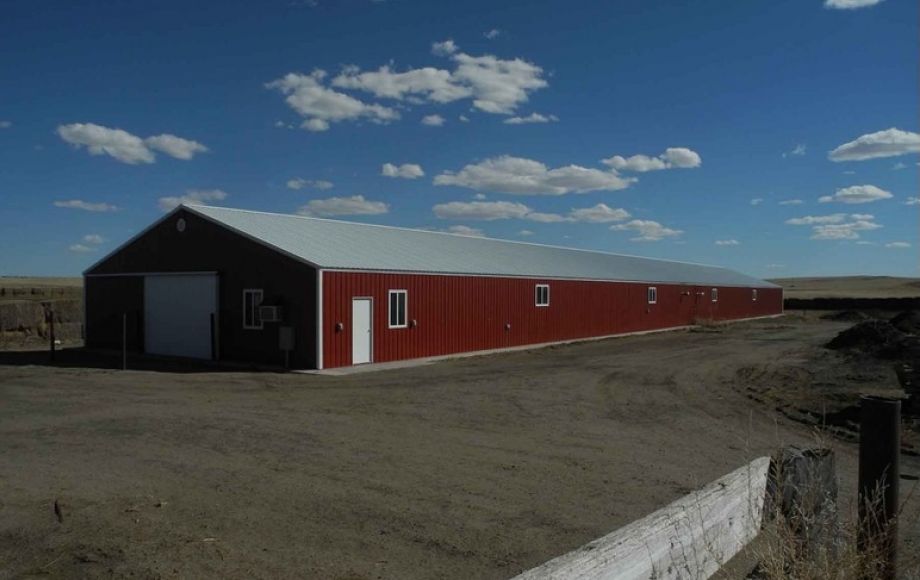 Image for Eastern Colorado Farm & Ranch Auction—2,595 +/- Acres in Kit Carson County