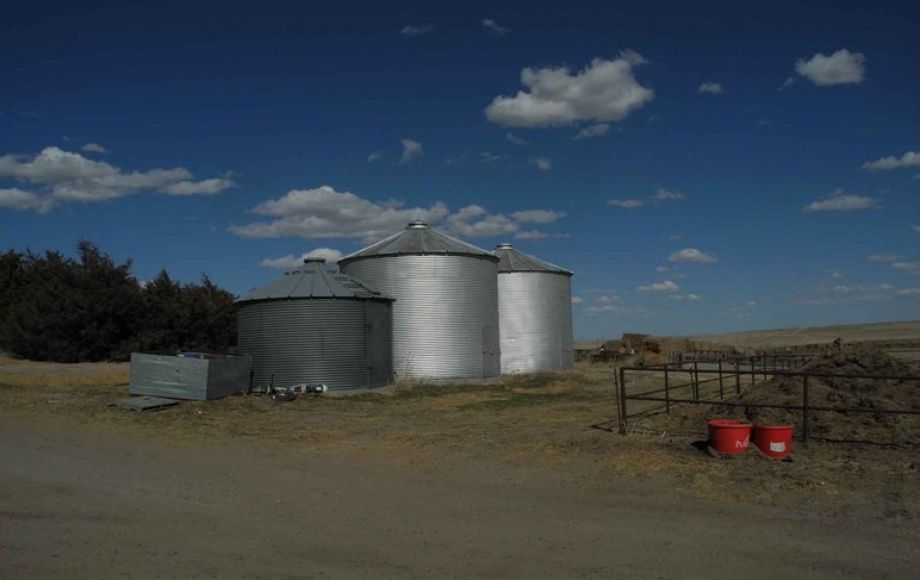 Image for Eastern Colorado Farm & Ranch Auction—2,595 +/- Acres in Kit Carson County