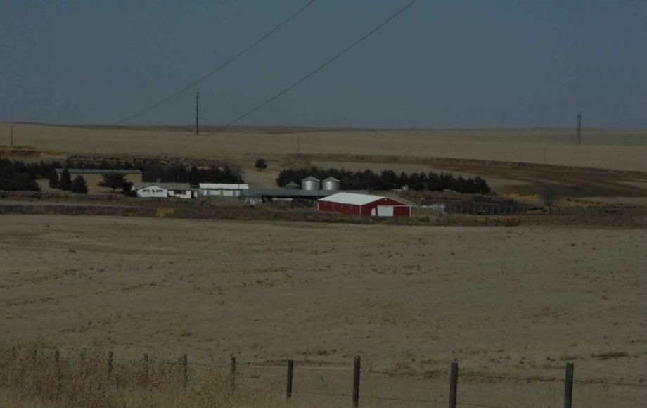 Image for Eastern Colorado Farm & Ranch Auction—2,595 +/- Acres in Kit Carson County