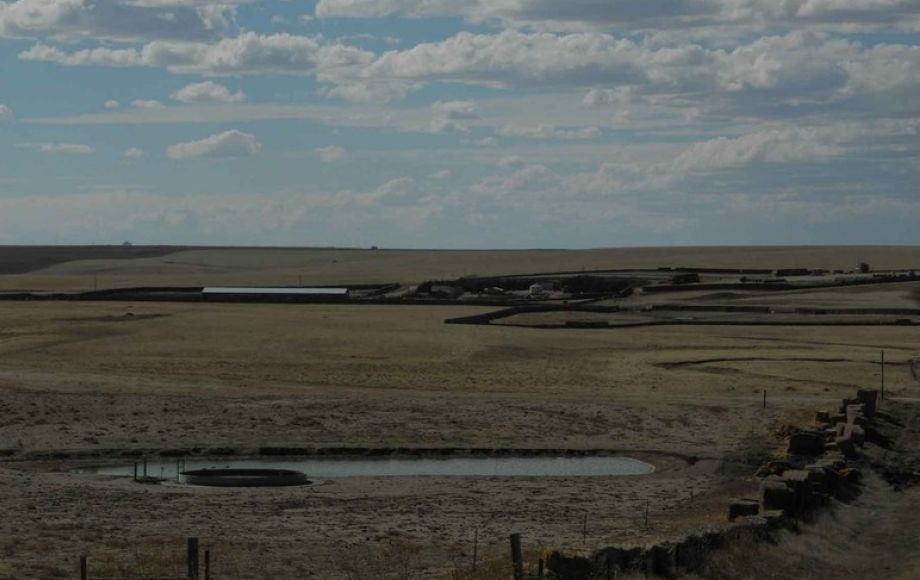 Image for Eastern Colorado Farm & Ranch Auction—2,595 +/- Acres in Kit Carson County