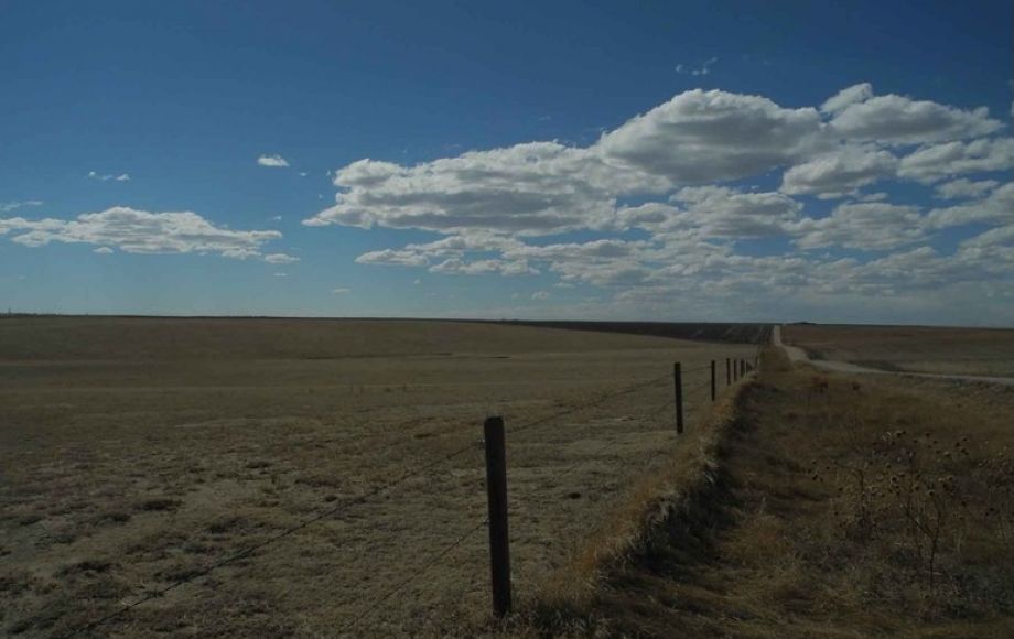 Image for Eastern Colorado Farm & Ranch Auction—2,595 +/- Acres in Kit Carson County