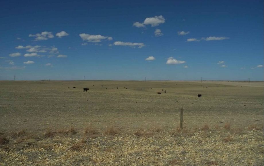 Image for Eastern Colorado Farm & Ranch Auction—2,595 +/- Acres in Kit Carson County