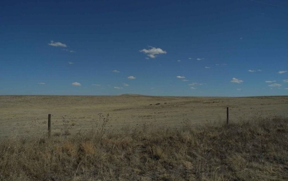 Image for Eastern Colorado Farm & Ranch Auction—2,595 +/- Acres in Kit Carson County