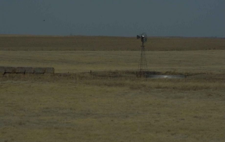 Image for Eastern Colorado Farm & Ranch Auction—2,595 +/- Acres in Kit Carson County