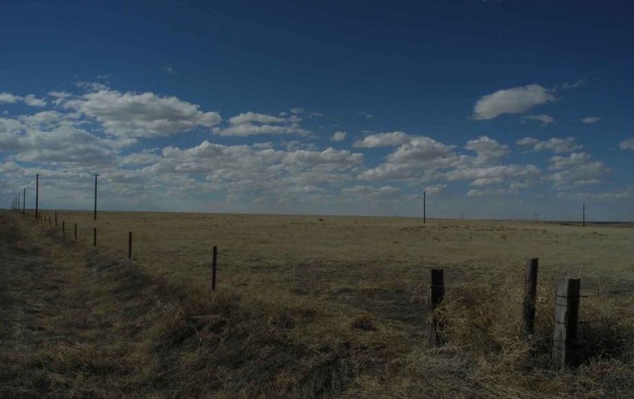 Image for Eastern Colorado Farm & Ranch Auction—2,595 +/- Acres in Kit Carson County