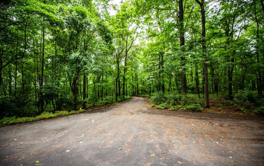 Image for 4 BR/4 Full & 2 Half BA Home on 8+ Acres PLUS Adjacent 4+ Ac. Lot  ~ SOLD TO THE HIGHEST BIDDER!