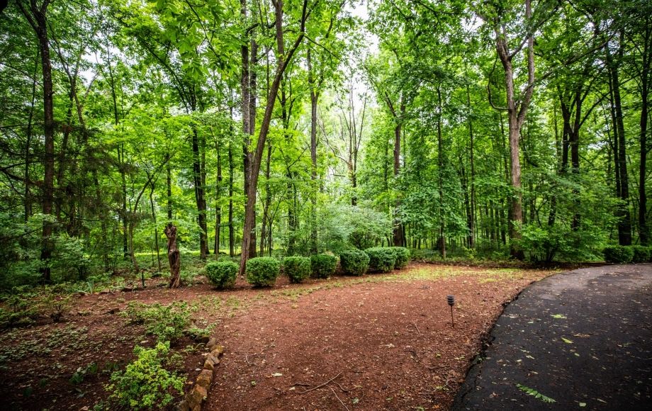 Image for 4 BR/4 Full & 2 Half BA Home on 8+ Acres PLUS Adjacent 4+ Ac. Lot  ~ SOLD TO THE HIGHEST BIDDER!