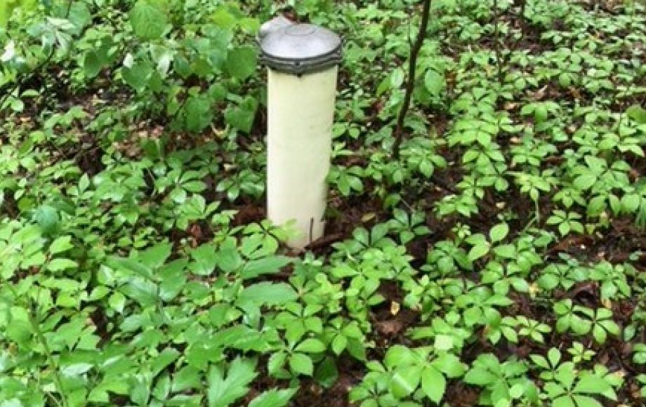 Image for 4.2 +/- Acre Wooded Building Lot w/Well—Selling to the Highest Bidder!!