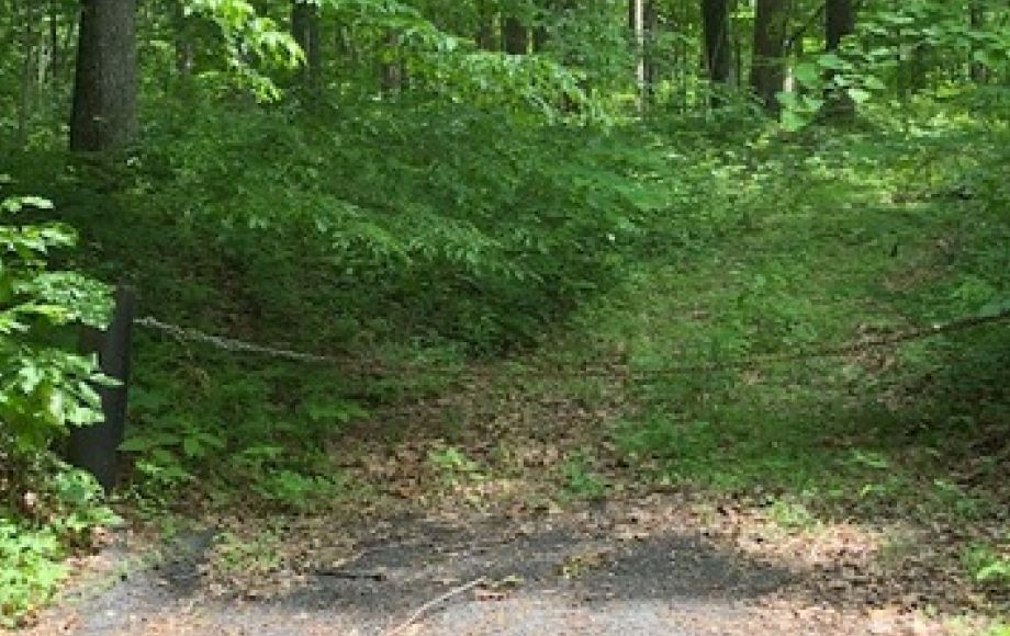 Image for 4.2 +/- Acre Wooded Building Lot w/Well—Selling to the Highest Bidder!!