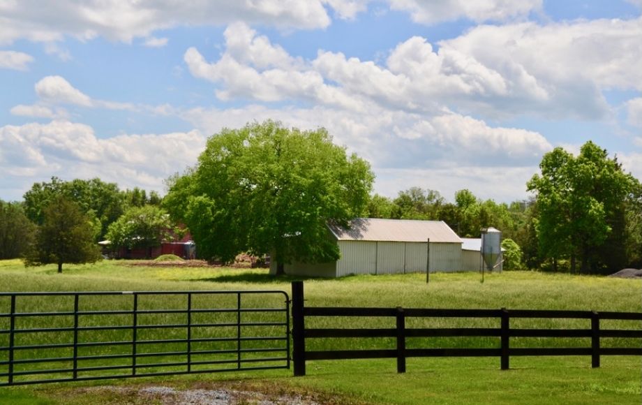 Image for 55 +/- Acres Zoned A-1 w/3 BR Custom Brick Home, Fenced Pasture & Outbuildings
