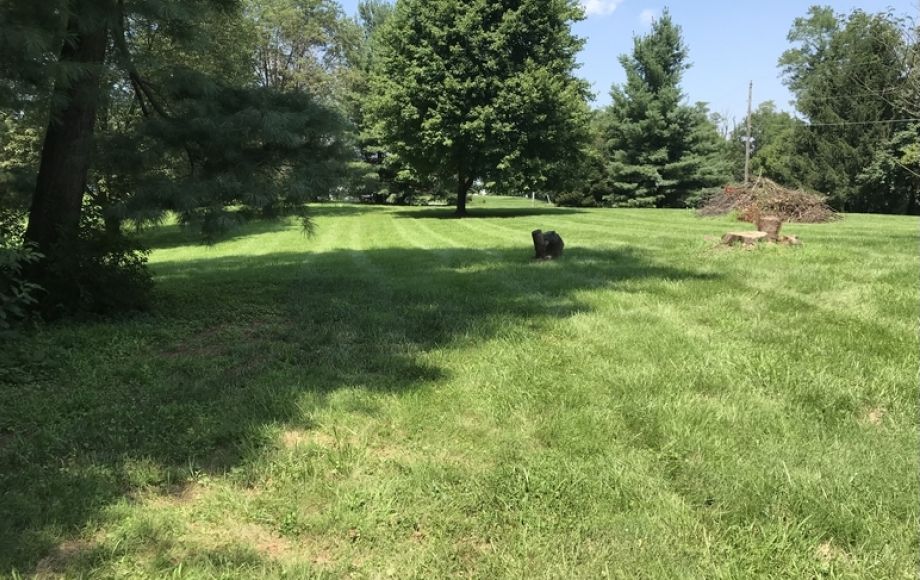 Image for Well Built 3 BR/3 BA Brick Home on 3.4 +/- Acres in Loudoun Co., VA—-Selling to the Highest Bidder!