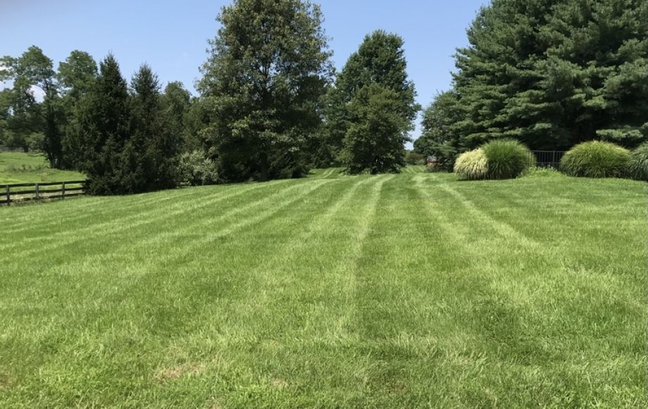 Image for Well Built 3 BR/3 BA Brick Home on 3.4 +/- Acres in Loudoun Co., VA—-Selling to the Highest Bidder!