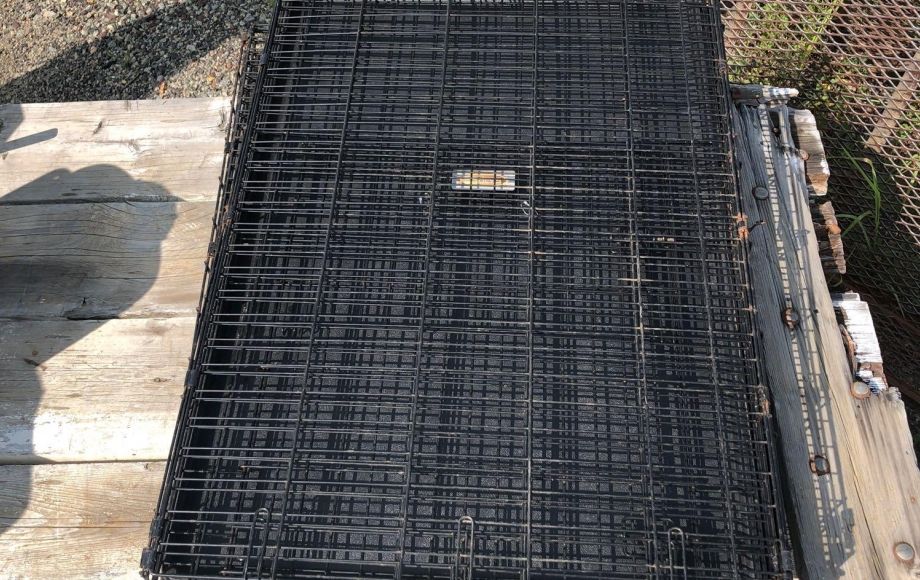 Image for Fall Consignment Auction 2018