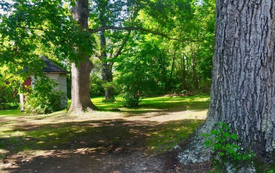 Image for Solid 3 BR/1.5 BA Home w/Basement on 2.8 +/- Acres in Orange Co., VA—Sells to the Highest Bidder!!!