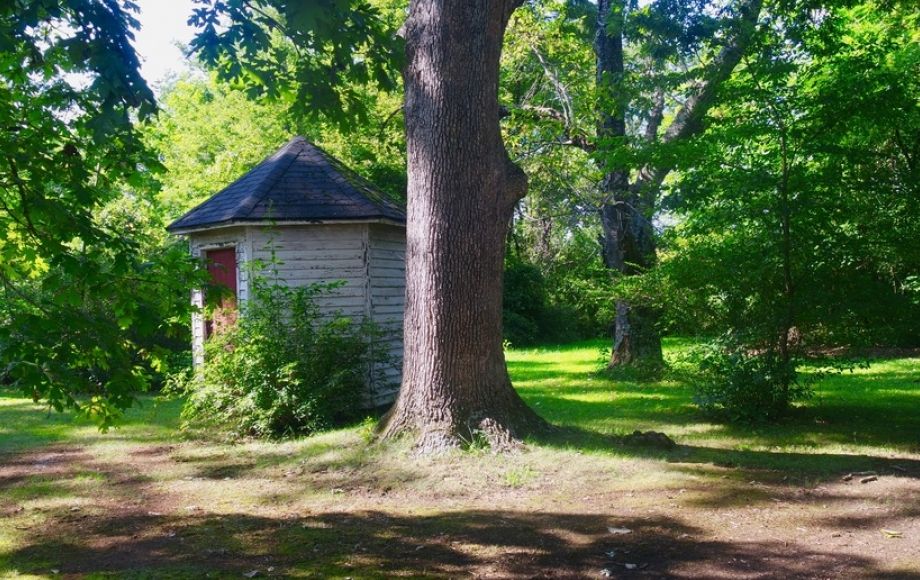 Image for Solid 3 BR/1.5 BA Home w/Basement on 2.8 +/- Acres in Orange Co., VA—Sells to the Highest Bidder!!!