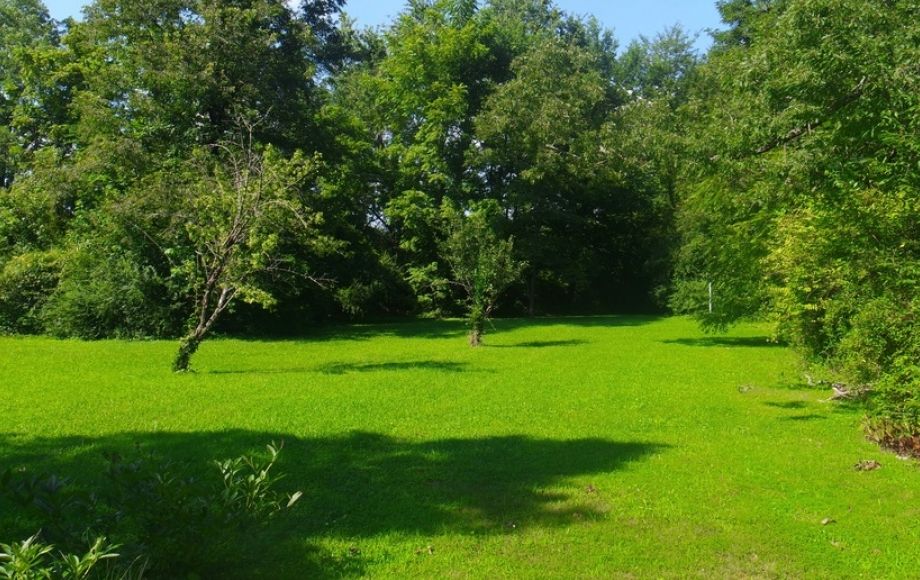 Image for Solid 3 BR/1.5 BA Home w/Basement on 2.8 +/- Acres in Orange Co., VA—Sells to the Highest Bidder!!!