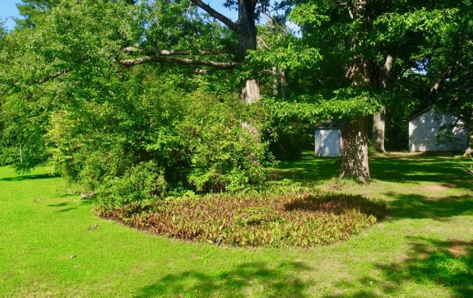 Image for Solid 3 BR/1.5 BA Home w/Basement on 2.8 +/- Acres in Orange Co., VA—Sells to the Highest Bidder!!!