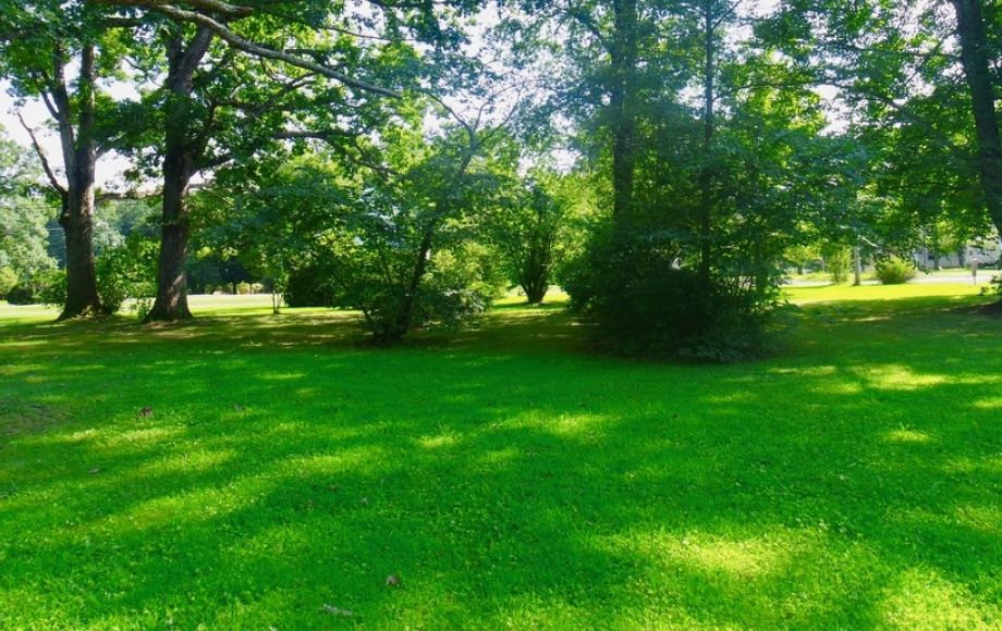 Image for Solid 3 BR/1.5 BA Home w/Basement on 2.8 +/- Acres in Orange Co., VA—Sells to the Highest Bidder!!!