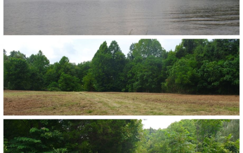 Image for 12 +/- Acres (3 Potential Parcels) of Lake Anna Residential Raw Land Selling at or Above $25,000!!