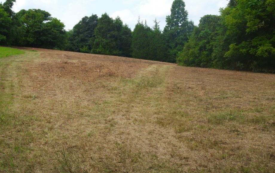 Image for 12 +/- Acres (3 Potential Parcels) of Lake Anna Residential Raw Land Selling at or Above $25,000!!