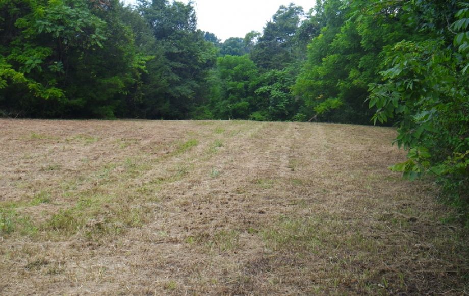 Image for 12 +/- Acres (3 Potential Parcels) of Lake Anna Residential Raw Land Selling at or Above $25,000!!