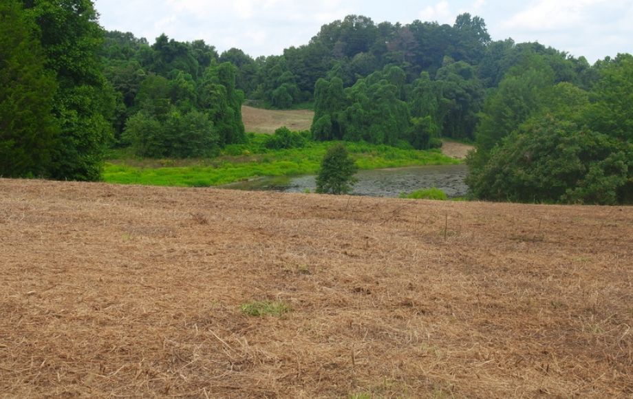 Image for 12 +/- Acres (3 Potential Parcels) of Lake Anna Residential Raw Land Selling at or Above $25,000!!