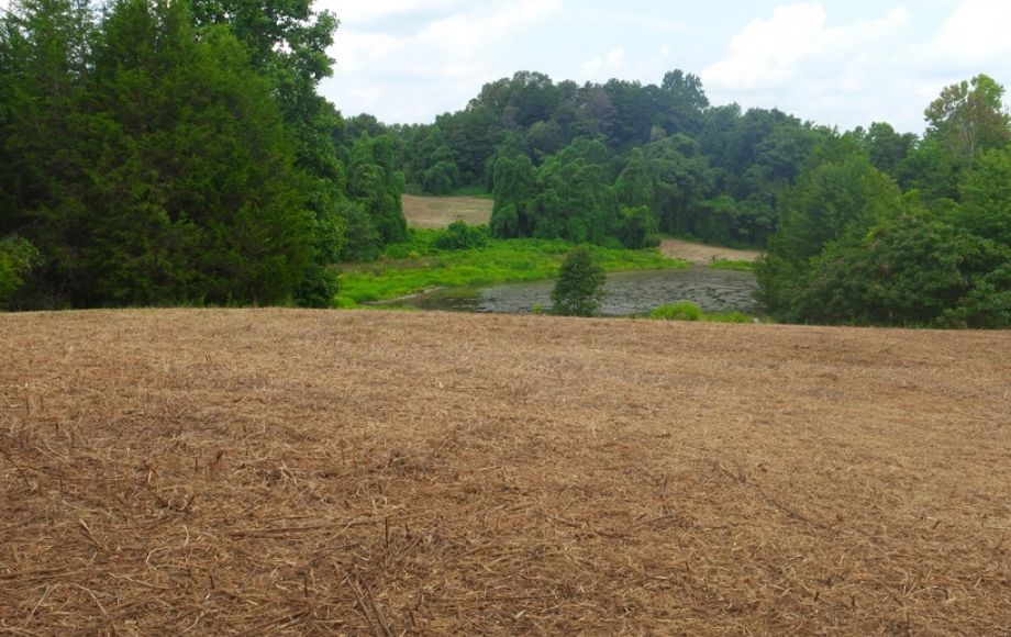 Image for 12 +/- Acres (3 Potential Parcels) of Lake Anna Residential Raw Land Selling at or Above $25,000!!