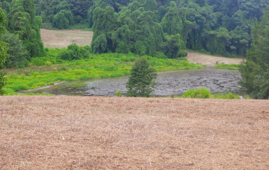 Image for 12 +/- Acres (3 Potential Parcels) of Lake Anna Residential Raw Land Selling at or Above $25,000!!