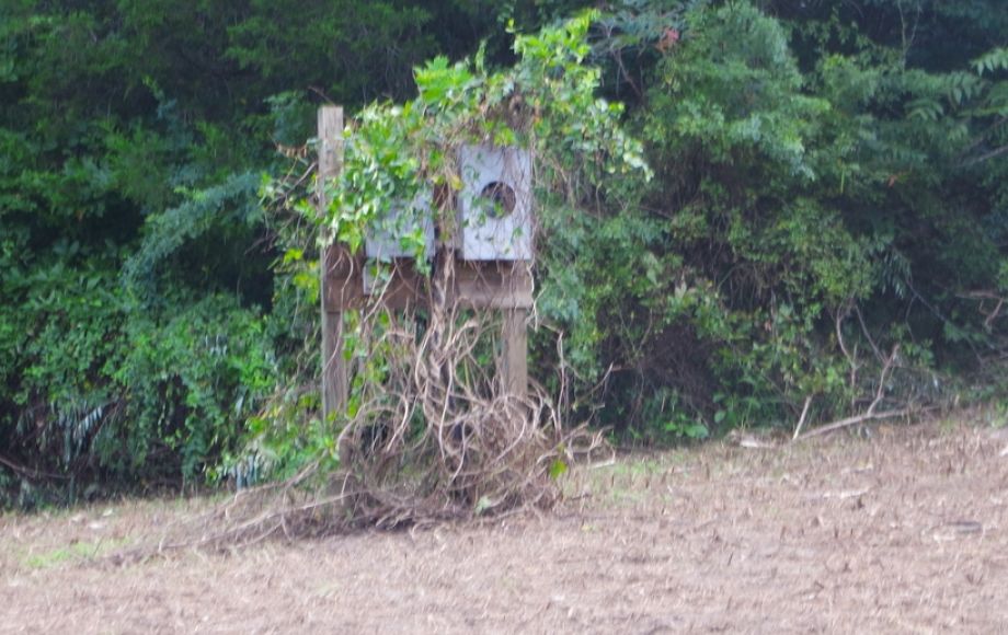 Image for 12 +/- Acres (3 Potential Parcels) of Lake Anna Residential Raw Land Selling at or Above $25,000!!