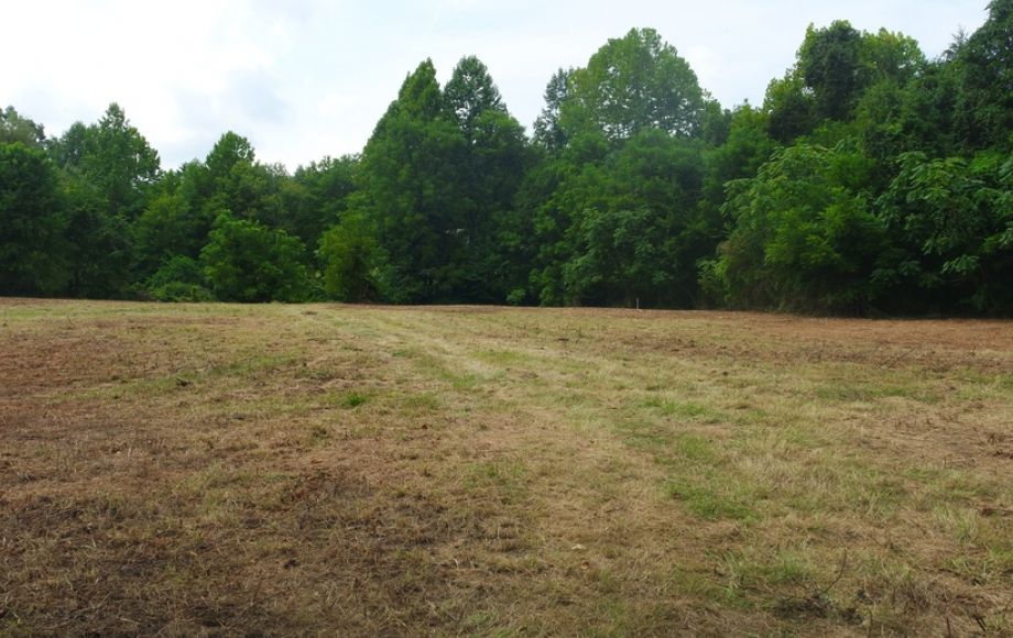 Image for 12 +/- Acres (3 Potential Parcels) of Lake Anna Residential Raw Land Selling at or Above $25,000!!