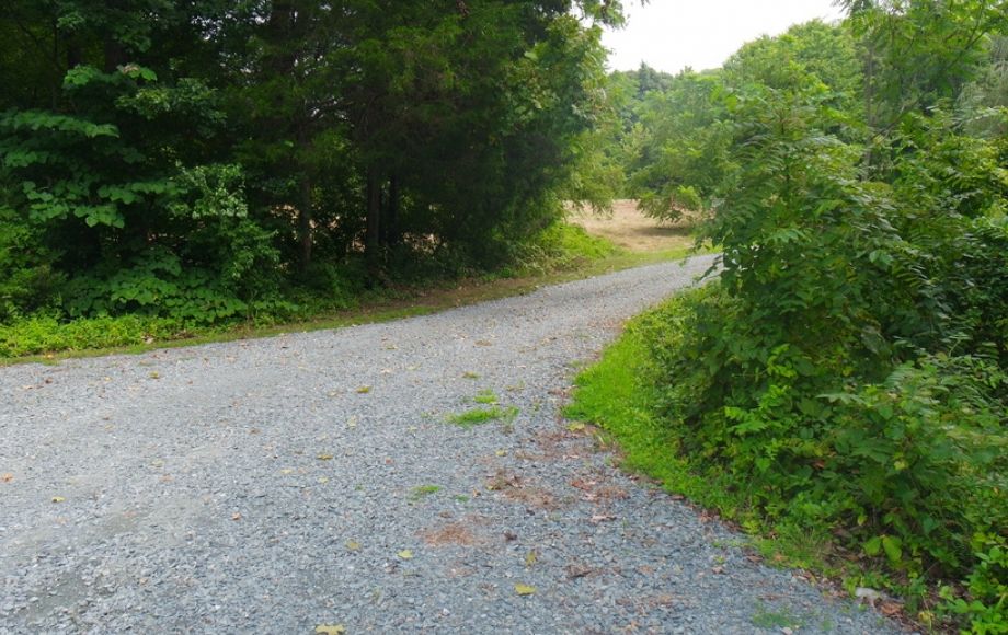 Image for 12 +/- Acres (3 Potential Parcels) of Lake Anna Residential Raw Land Selling at or Above $25,000!!