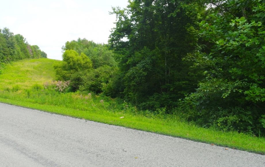 Image for 12 +/- Acres (3 Potential Parcels) of Lake Anna Residential Raw Land Selling at or Above $25,000!!