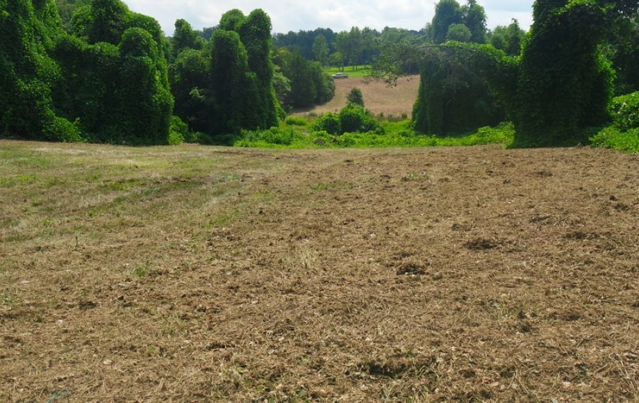 Image for 12 +/- Acres (3 Potential Parcels) of Lake Anna Residential Raw Land Selling at or Above $25,000!!