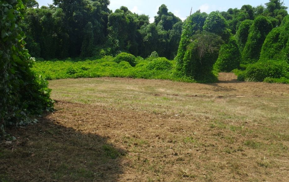 Image for 12 +/- Acres (3 Potential Parcels) of Lake Anna Residential Raw Land Selling at or Above $25,000!!