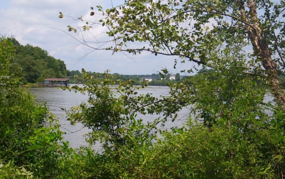 Image for 12 +/- Acres (3 Potential Parcels) of Lake Anna Residential Raw Land Selling at or Above $25,000!!