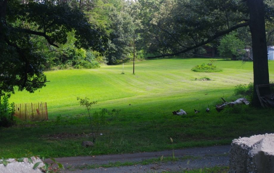 Image for 1400 +/- Rt. 29 Frontage!! 16.24 +/- Acres Offered in 2 Parcels: Selling to the Highest Bidder!