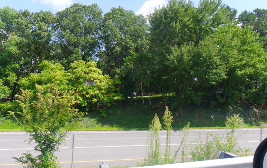 Image for 1400 +/- Rt. 29 Frontage!! 16.24 +/- Acres Offered in 2 Parcels: Selling to the Highest Bidder!