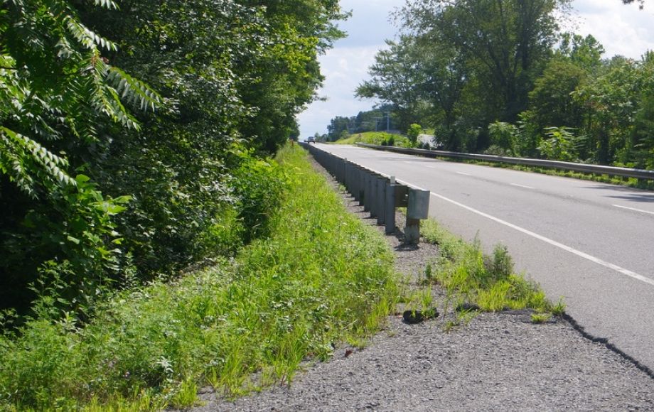 Image for 1400 +/- Rt. 29 Frontage!! 16.24 +/- Acres Offered in 2 Parcels: Selling to the Highest Bidder!