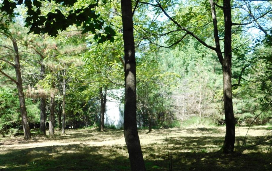 Image for 3 BR/2 BA Home w/Large Work Shop on 3.8 +/- Acres in Orange County, VA